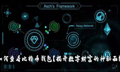 如何查看比特币钱包？揭开数字财富的神秘面纱