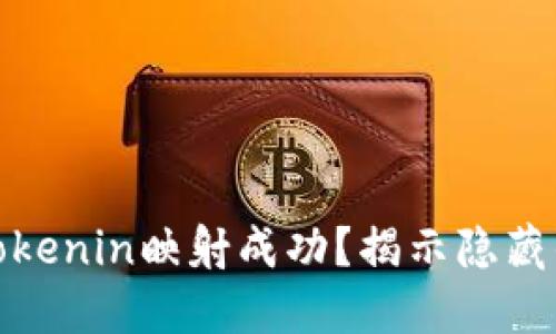 如何验证Tokenin映射成功？揭示隐藏的关键步骤
