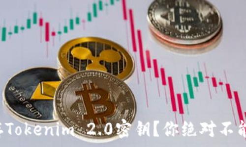   
如何安全保存Tokenim 2.0密钥？你绝对不能忽视的细节！