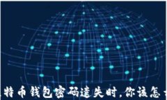 当比特币钱包密码遗失时，你该怎么办？