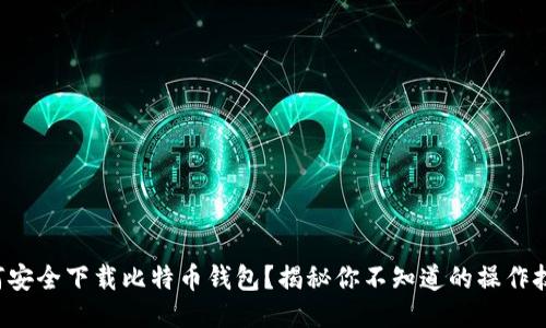 如何安全下载比特币钱包？揭秘你不知道的操作技巧！
