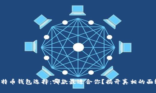 比特币钱包选择：哪款最适合你？揭开真相的面纱！