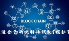 如何选择最适合你的比特币钱包？揭秘背后的真