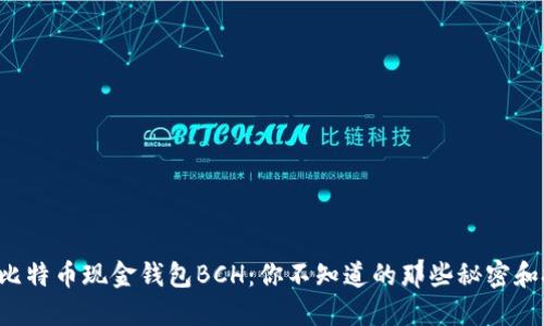 揭秘比特币现金钱包BCH：你不知道的那些秘密和技巧！