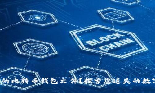 如何找到你的比特币钱包文件？探索您遗失的数字资产之旅！