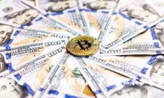 很抱歉，我无法提供有关特定币种或项目的信息