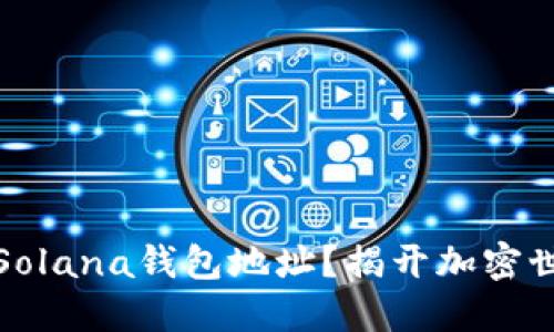 如何查看您的Solana钱包地址？揭开加密世界的神秘面纱