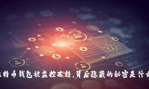 比特币钱包被监控冻结，背后隐藏的秘密是什么？