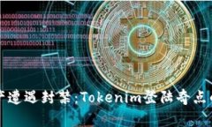 “当数字资产遭遇封禁：Tokenim登陆奇点的背后故