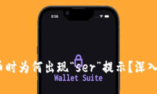 Tokenim 2.0转币时为何出现“ser”提示？深入解析与解决方案！