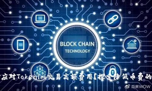 如何巧妙应对Tokenim交易高额费用？探索降低币费的潜在策略
