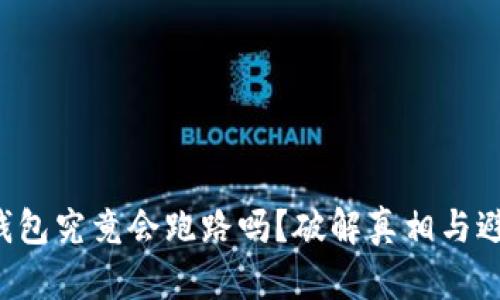 比特币钱包究竟会跑路吗？破解真相与避雷指南！