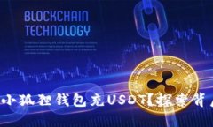 如何使用小狐狸钱包充USDT？探索背后的秘密！