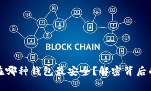 比特币存放在哪种钱包最安全?解密背后的秘密与选择