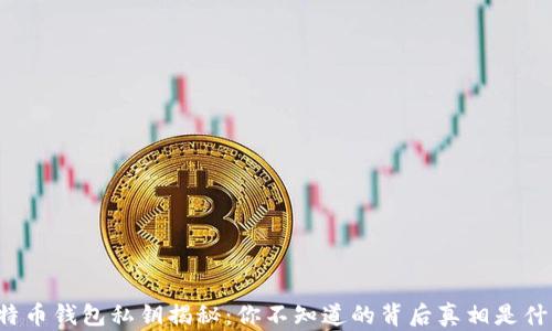 
比特币钱包私钥揭秘：你不知道的背后真相是什么？