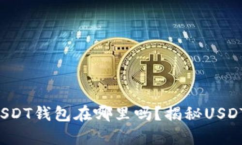 你知道你的USDT钱包在哪里吗？揭秘USDT存储的秘密！