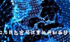 揭开Tokenim 2.0钱包密码设置的神秘面纱！你准备好