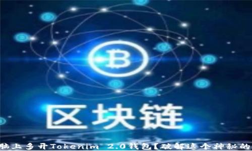 
如何在电脑上多开Tokenim 2.0钱包？破解这个神秘的操作技巧！