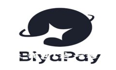 如何安全下载并使用瑞波币独立钱包？这一选择