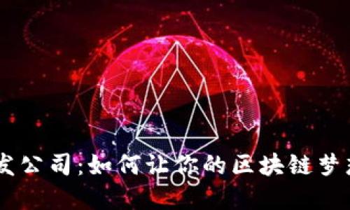 Tokenim开发公司：如何让你的区块链梦想照进现实？