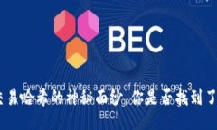 揭开tokenim交易哈希的神秘面纱，你是否找到了你