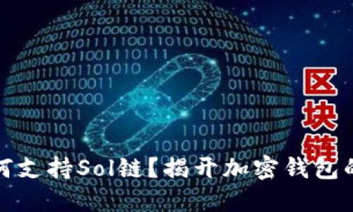 TP钱包如何支持Sol链？揭开加密钱包的神秘面纱
