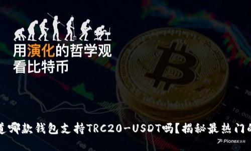  你知道哪款钱包支持TRC20-USDT吗？揭秘最热门的选择！