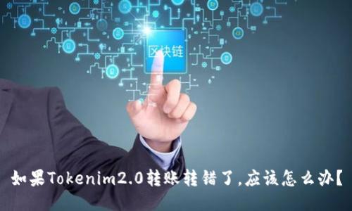 如果Tokenim2.0转账转错了，应该怎么办？