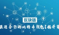 如何选择最适合你的比特币钱包？揭开背后的秘