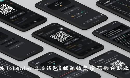 丢失Tokenim 2.0钱包？揭秘恢复密码的神秘之旅！