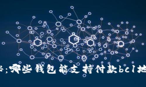 揭秘：哪些钱包能支持付款bc1地址？