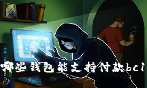 揭秘：哪些钱包能支持付款bc1地址？