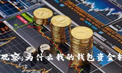 Tokenim观察：为什么我的钱包资金转不出去？