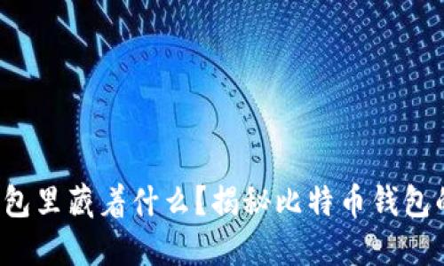 你的钱包里藏着什么？揭秘比特币钱包的秘密！