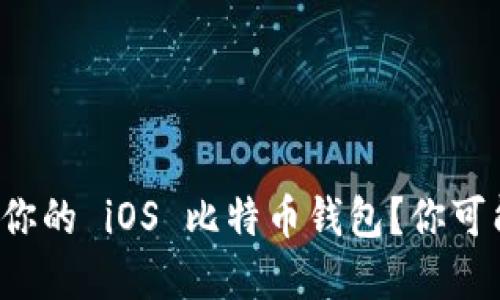 如何选择最适合你的 iOS 比特币钱包？你可能不知道的秘密！