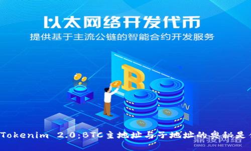 解密Tokenim 2.0：BTC主地址与子地址的奥秘是什么？