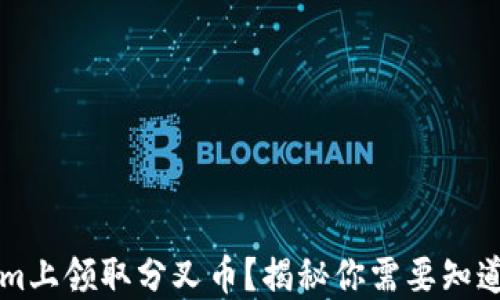 
如何在Tokenim上领取分叉币？揭秘你需要知道的每一个细节