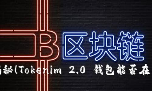 bianoti揭秘！Tokenim 2.0 钱包能否在中国使用？
