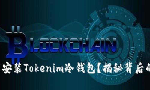 如何安全下载安装Tokenim冷钱包？揭秘背后的风险与优势！