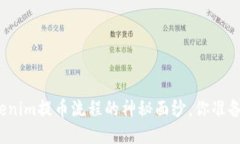 揭开Tokenim提币流程的神秘面纱，你准备好了吗？