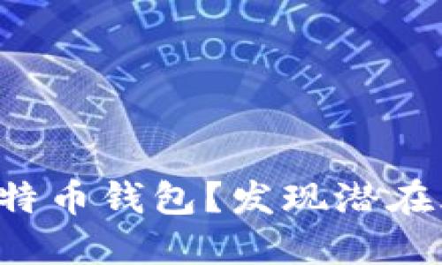 如何安全导入比特币钱包？发现潜在风险与最佳实践！