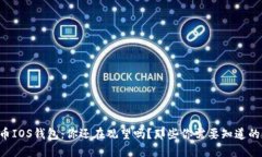 瑞波币IOS钱包：你还在观望吗？那些你需要知道