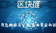   比特币钱包地址与公钥：真相背后的谜团!----
