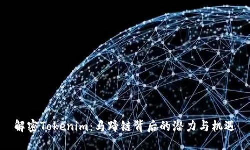 解密Tokenim：马蹄链背后的潜力与机遇