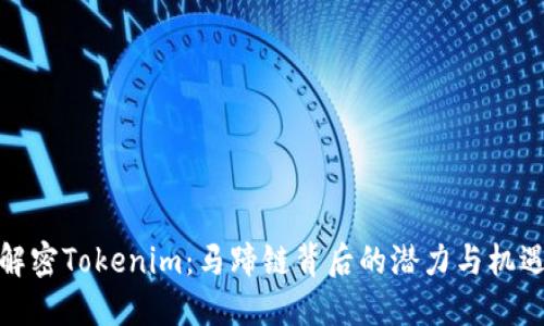 解密Tokenim：马蹄链背后的潜力与机遇