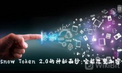 揭开Gasnow Token 2.0的神秘面纱：它能改变加密世界