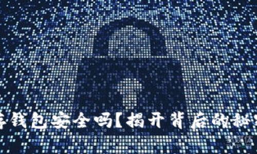 比特币存钱包安全吗？揭开背后的秘密与风险