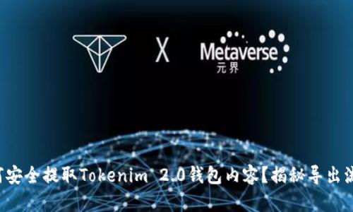 如何安全提取Tokenim 2.0钱包内容？揭秘导出流程！