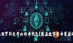 如何在俄罗斯使用比特币钱包？藏在数字货币背