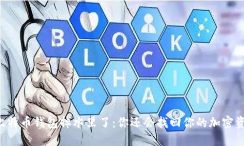 手机比特币钱包掉水里了：你还会找回你的加密资产吗？